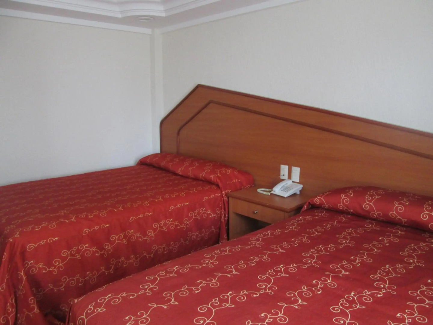 Foto - Hotel Premier