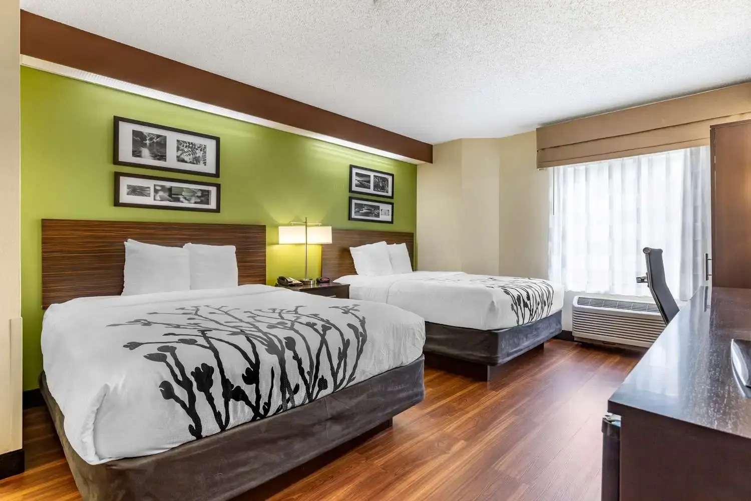 Foto - Sleep Inn Matthews-Charlotte