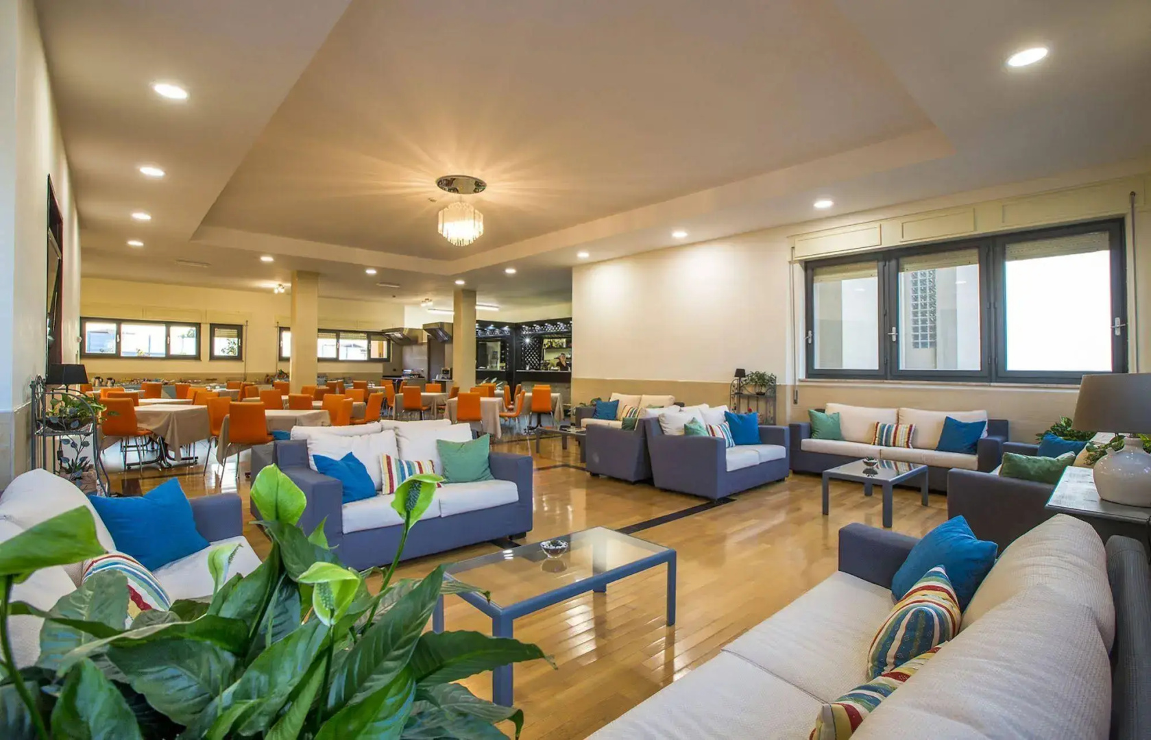 Photo - Hotel Residence Ulivi e Palme