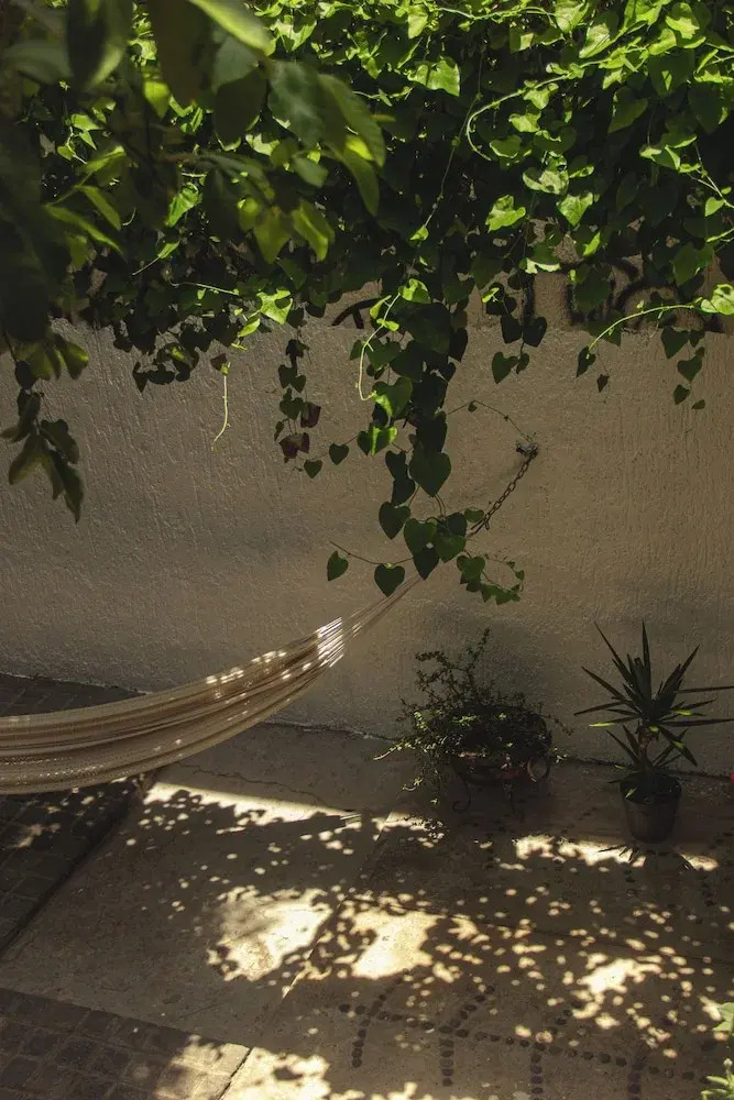 Photo - El Pinche Hostal