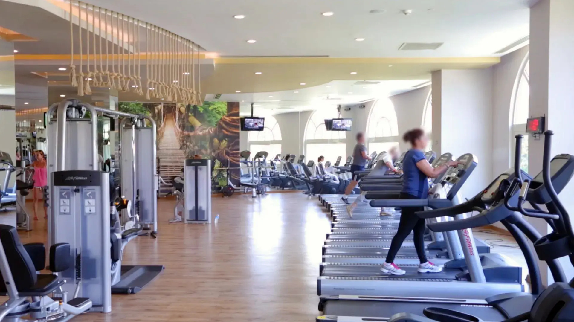 Foto - Delphin Imperial Lara