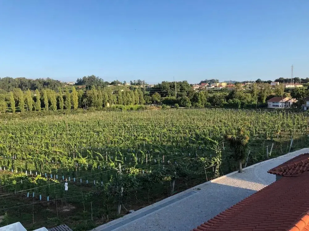 Photo - Quinta de Maderne