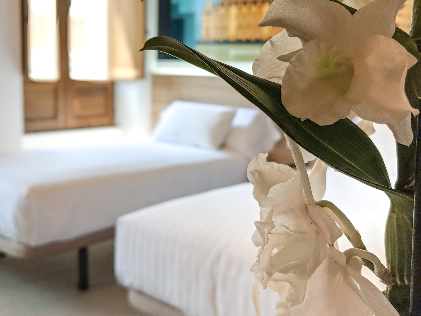 Photo - Original Domino House