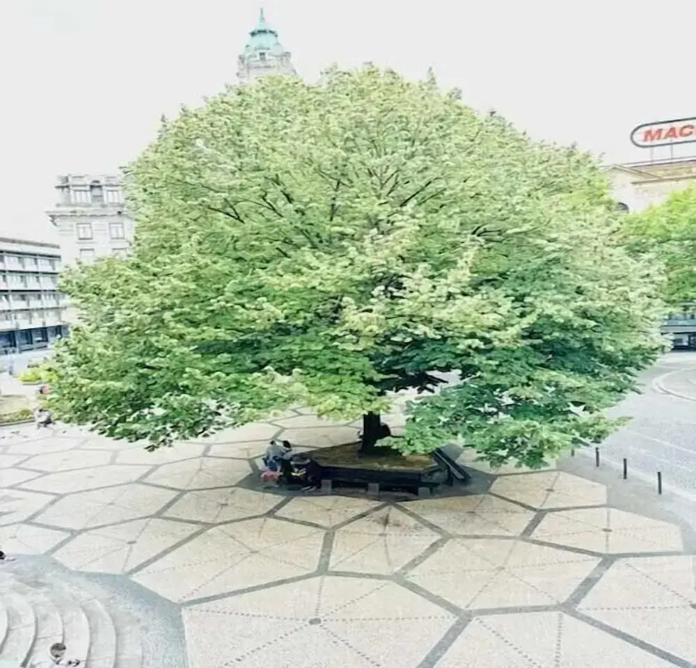 Foto - Fantasy Hostel Porto