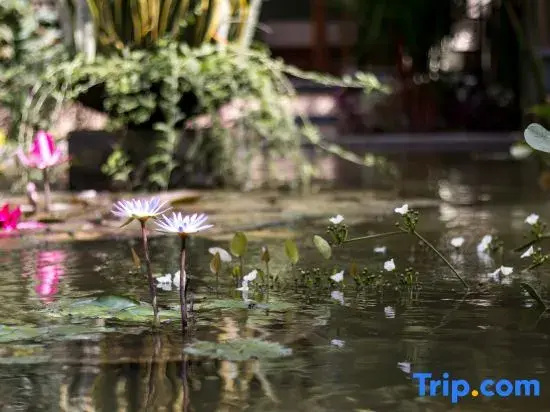 Photo - Hidden Padma Retreat