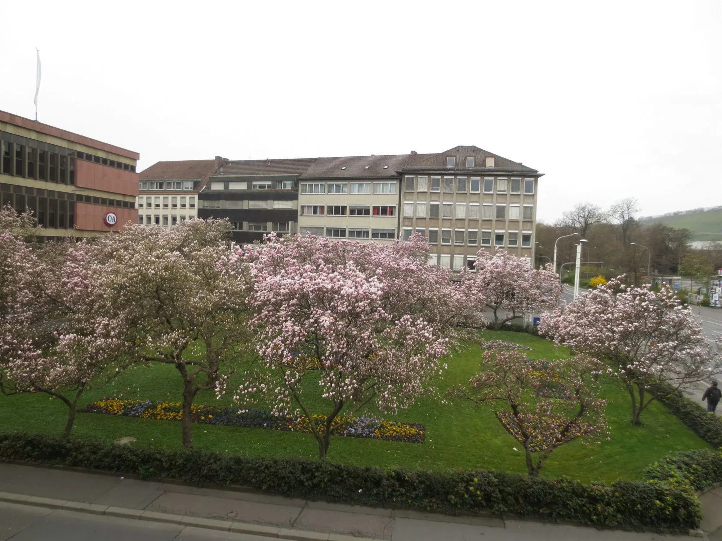 Foto - Hotel Regina