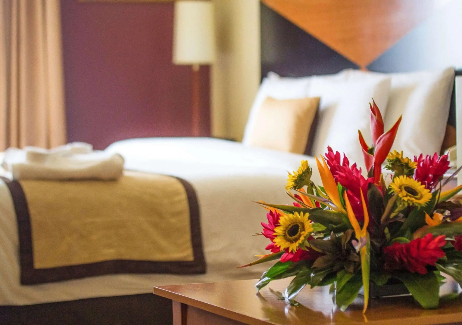 Foto - Sleep Inn Paseo Las Damas