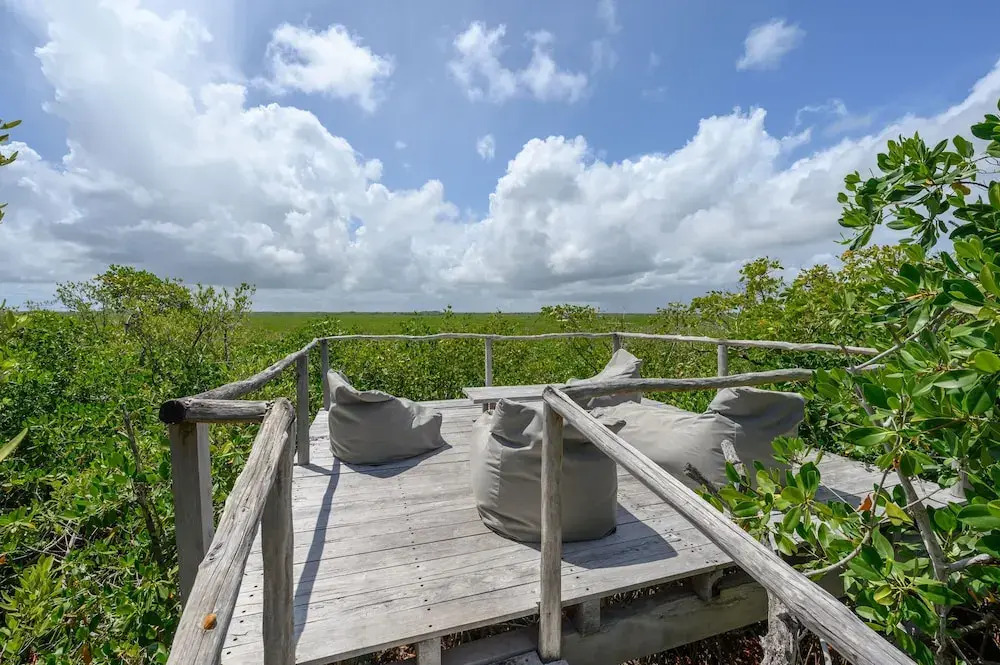 Photo - Vida Silvestre Tulum