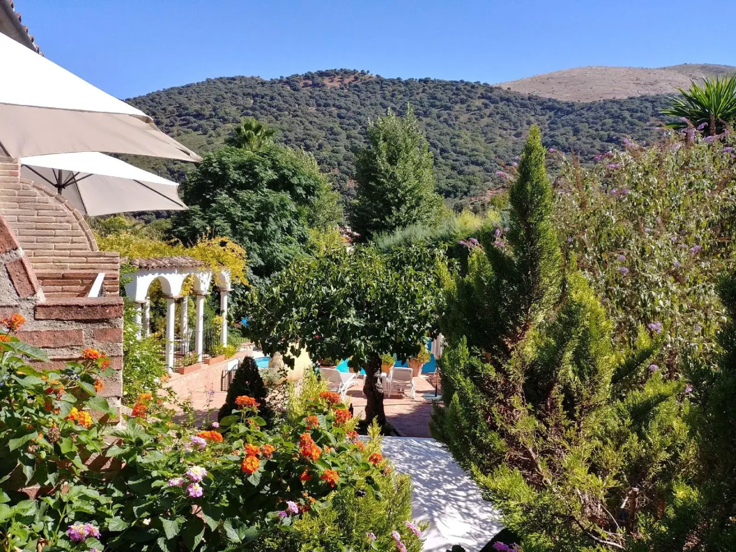 Photo - Molino Del Santo