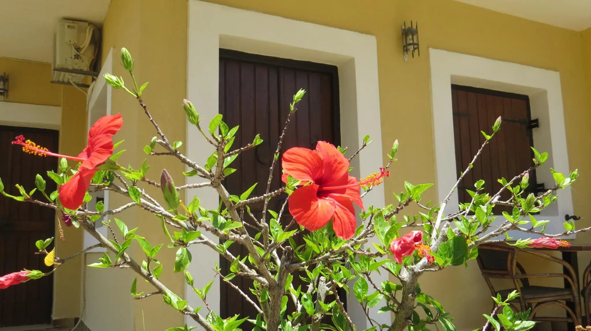 Foto - Villa Medusa