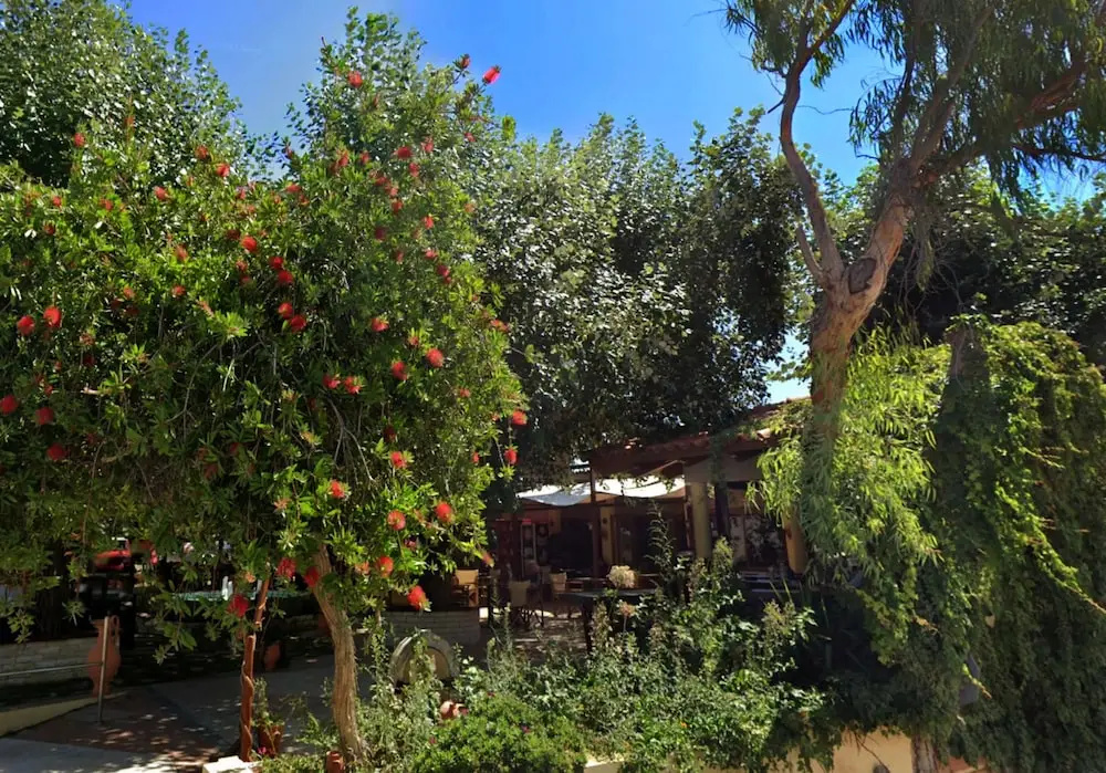 Foto - Villa Andreas in Tavronitis