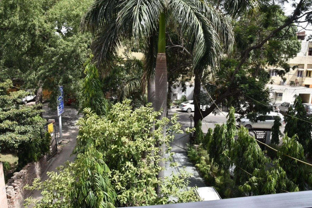 Foto - Wood Castle Grand