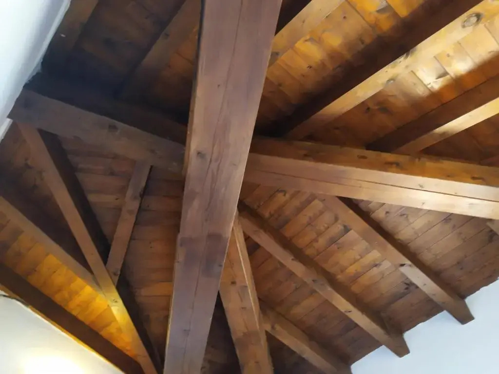 Foto - Hotel Punta Moros