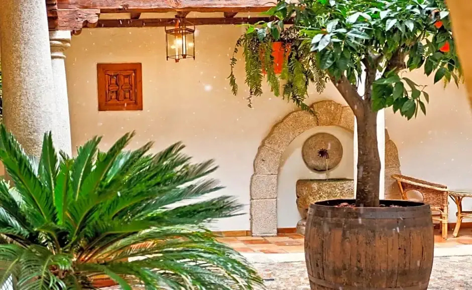 Photo - Posada del Tio Juanón