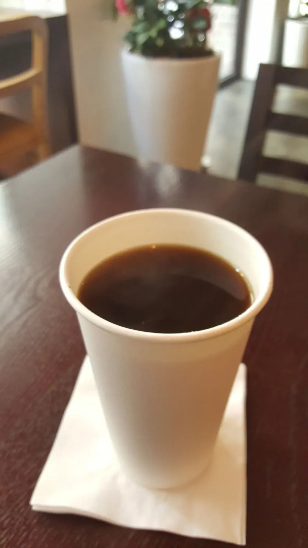 Photo - Forêt Guest House