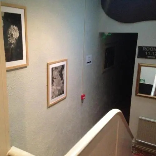 Photo - Peek-a-Booze - Budget Hotel - Adults Only