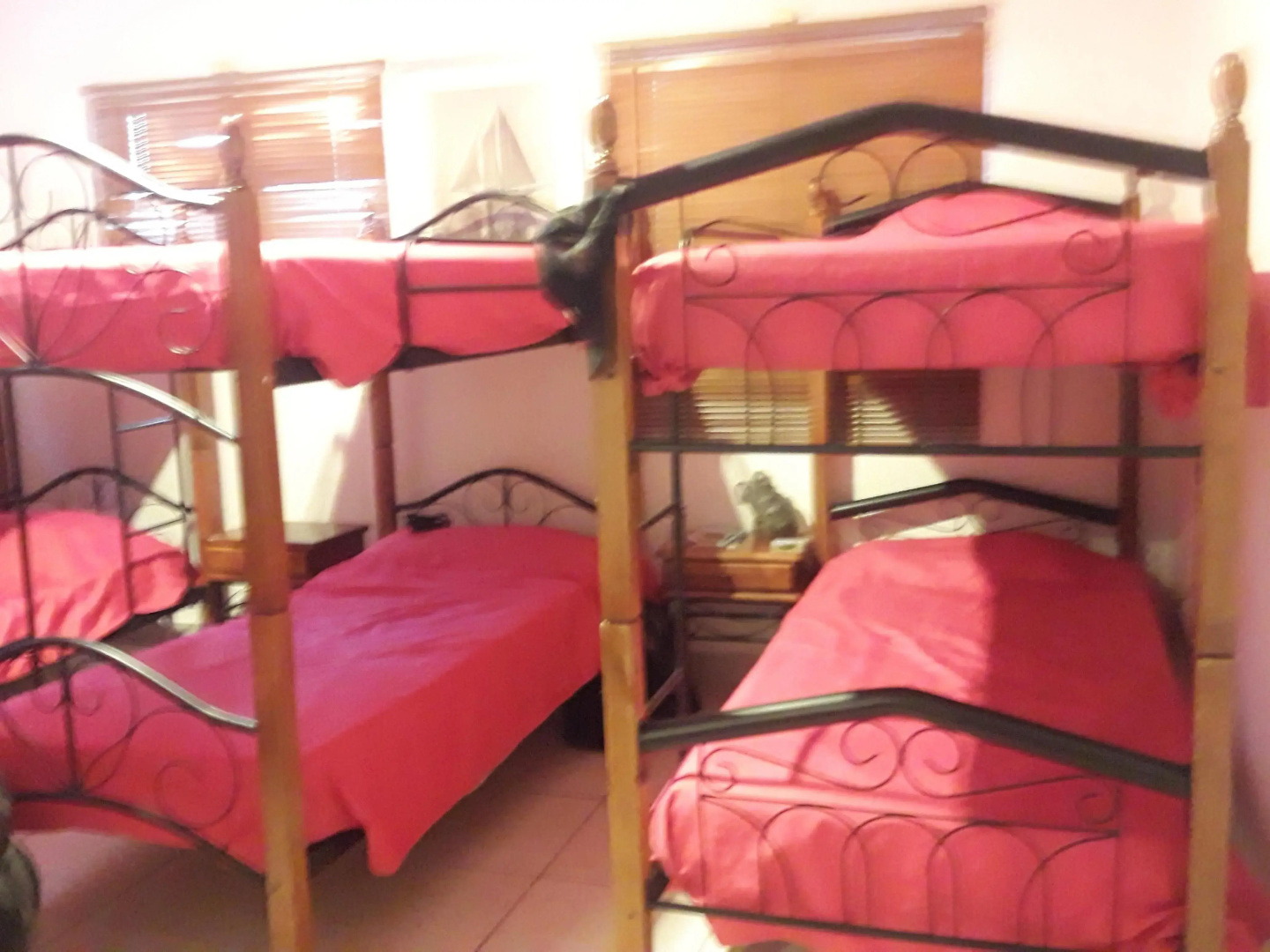 Foto - Palmita Hotel Hostel
