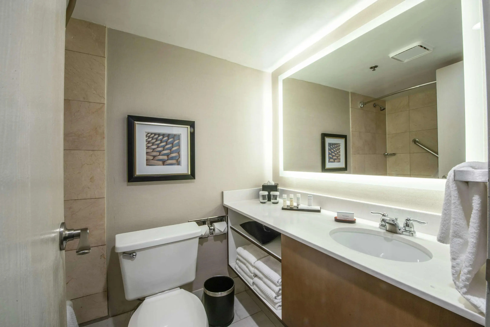 Foto - Embassy Suites by Hilton Chicago Schaumburg Woodfield