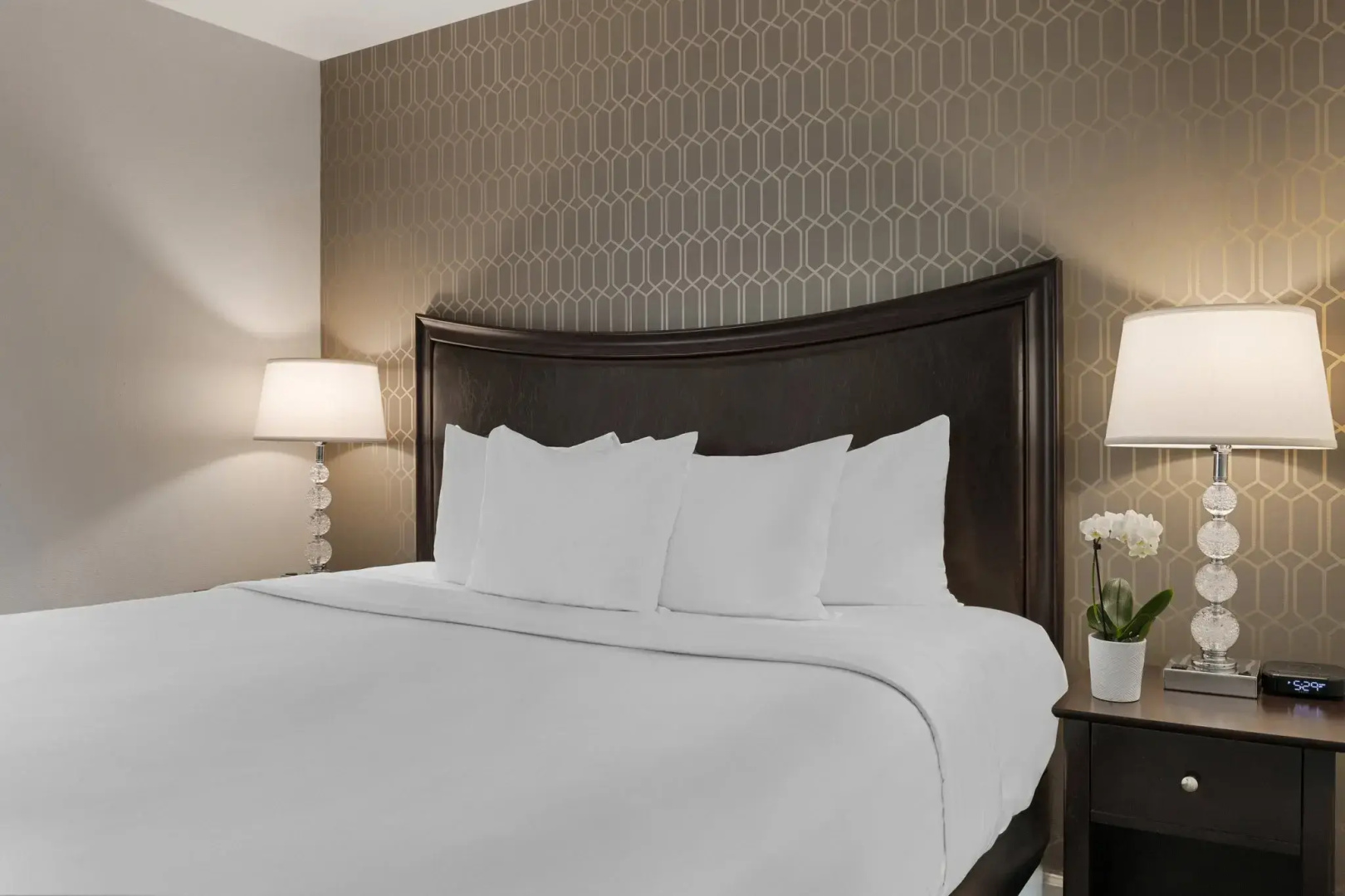 Foto - Peacock Suites