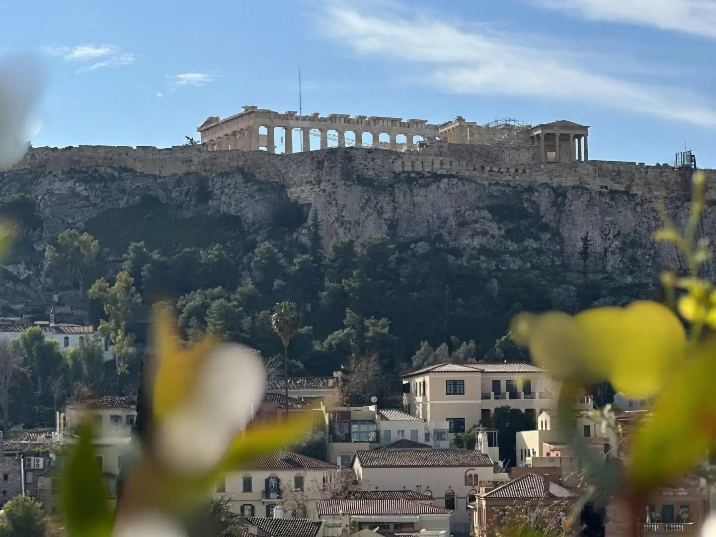 Foto - The Dolli at Acropolis, A Hotel to Live