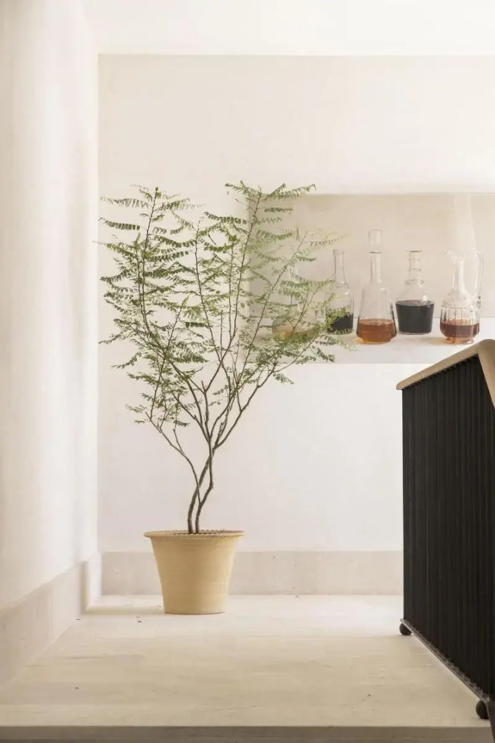 Foto - Hotel Bodega Tio Pepe