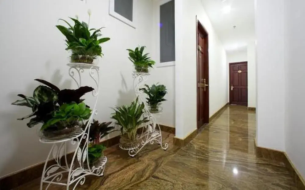 Foto - Silk Hotel near Tan Son Nhat Airport