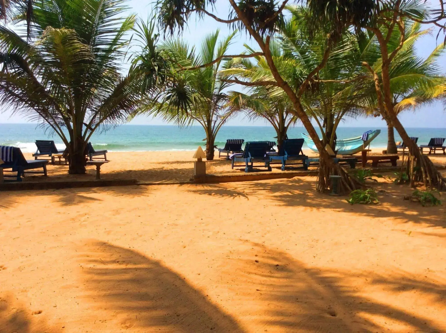 Foto - Oasey Beach Hotel