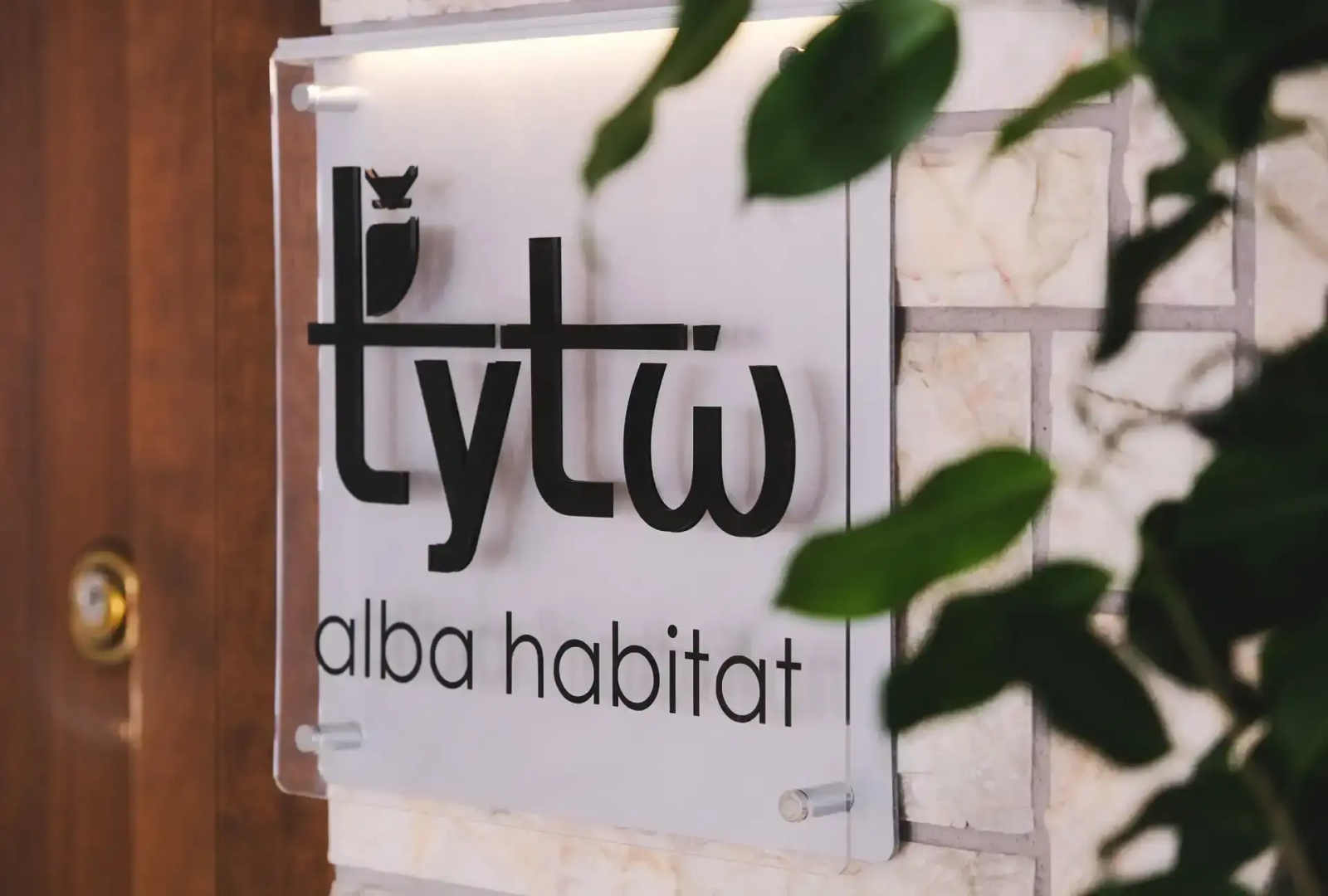 Photo - Tyto Alba Habitat