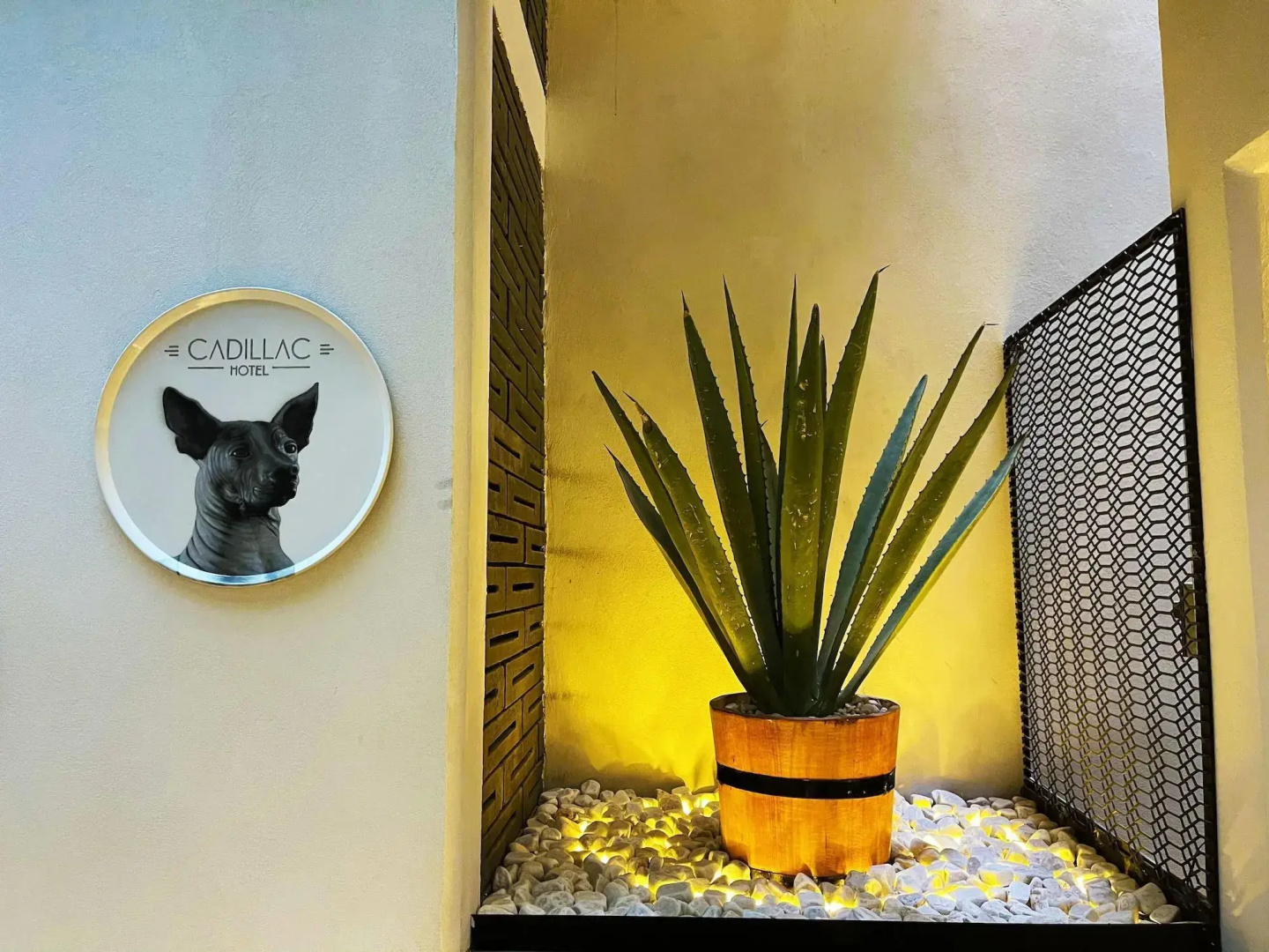 Foto - Cadillac Hotel Boutique