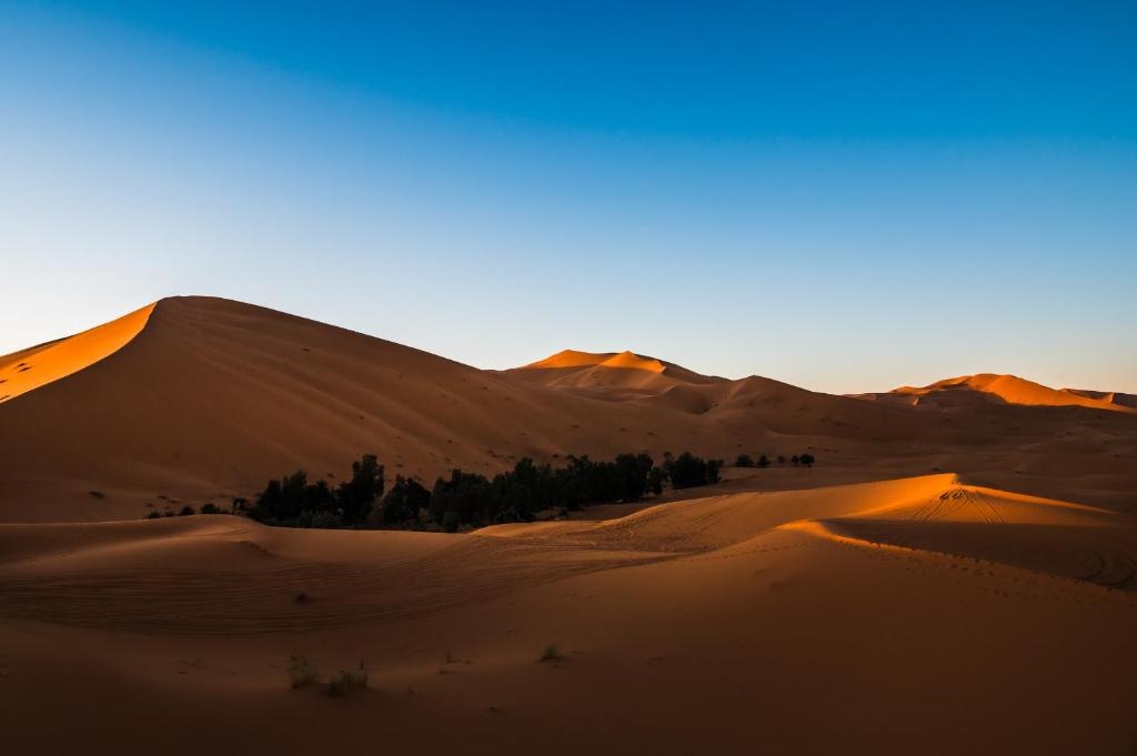 Desert Heart Luxury Camp