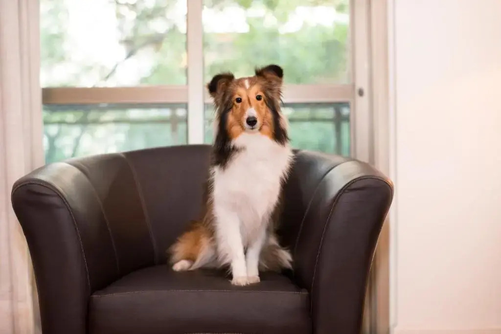 Foto - Promenade Link Stay Barra da Tijuca