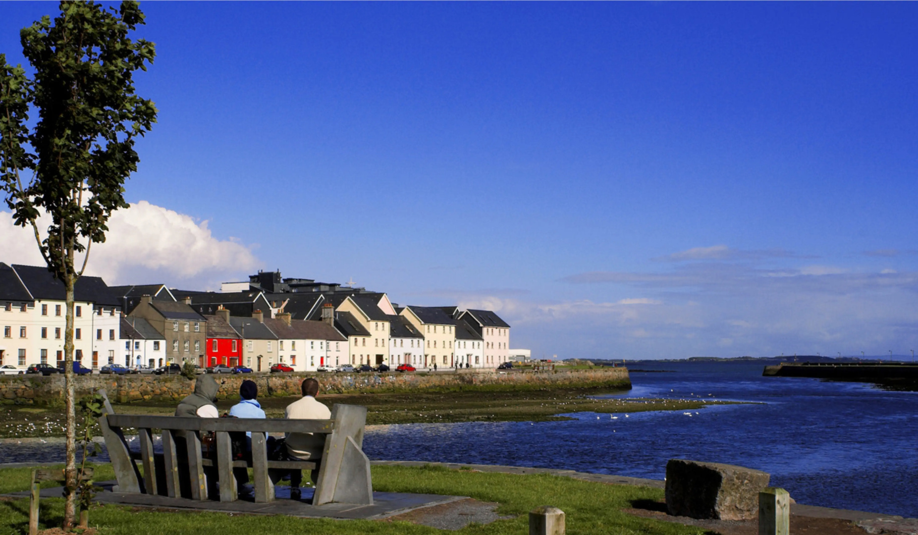 Foto - Leonardo Hotel Galway