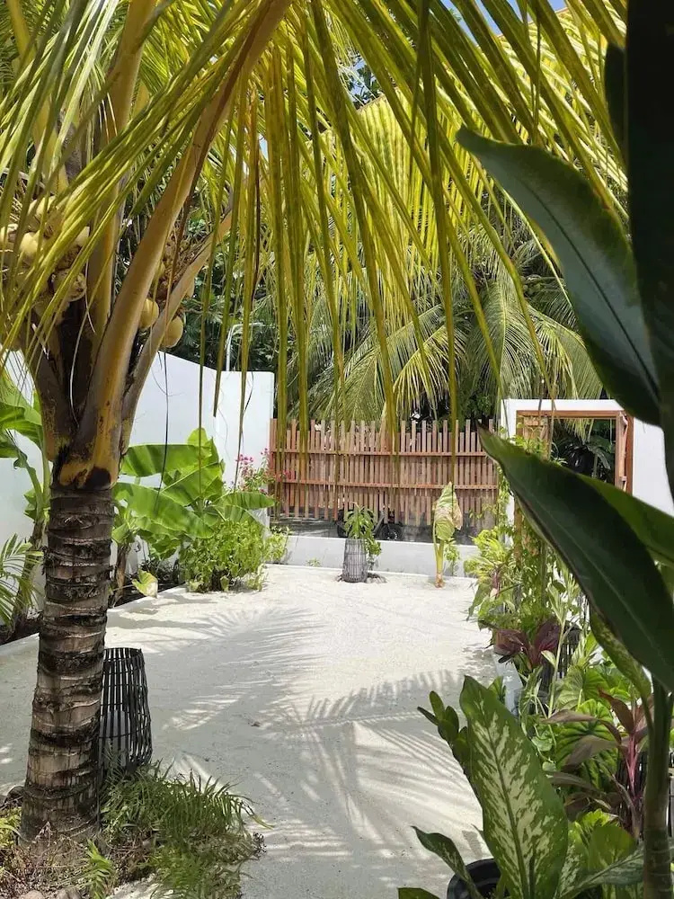 Foto - Oasis Dhigurah