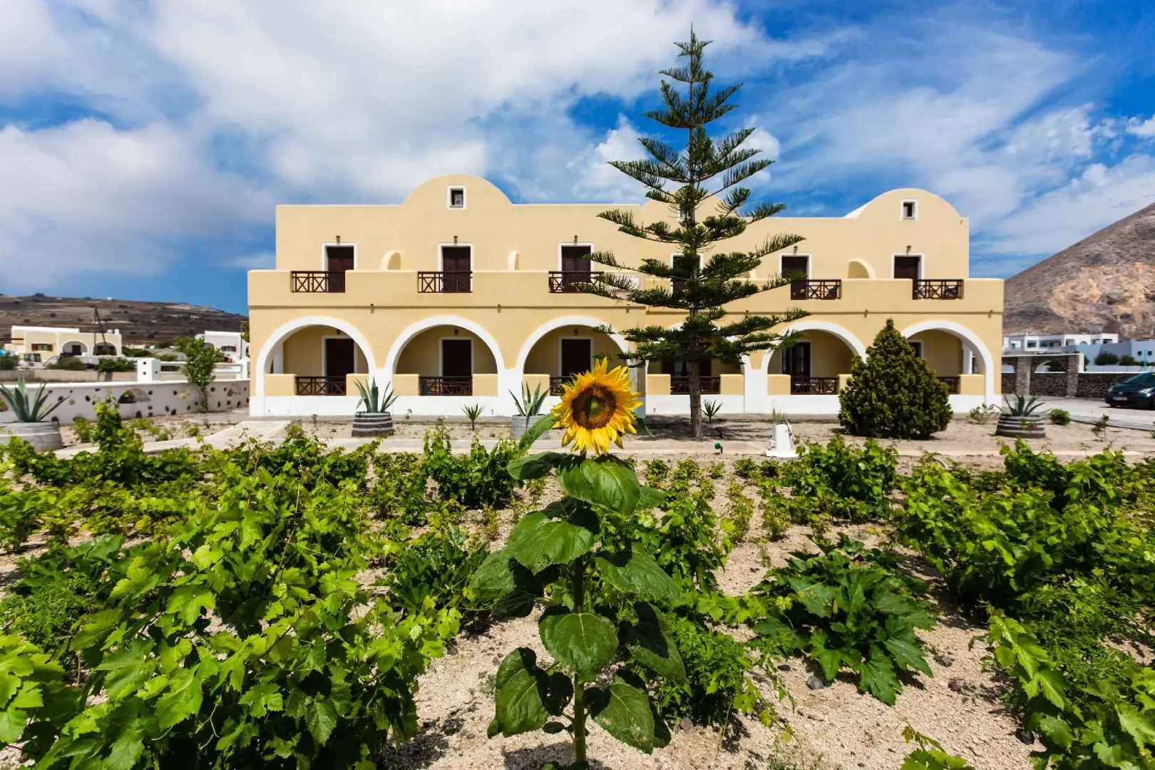 Foto - Mandilaria Studios