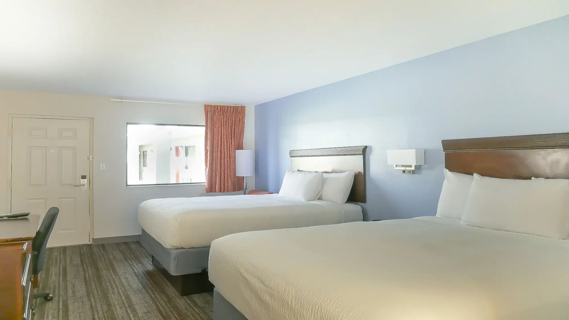 Foto - Hotel South Tampa & Suites