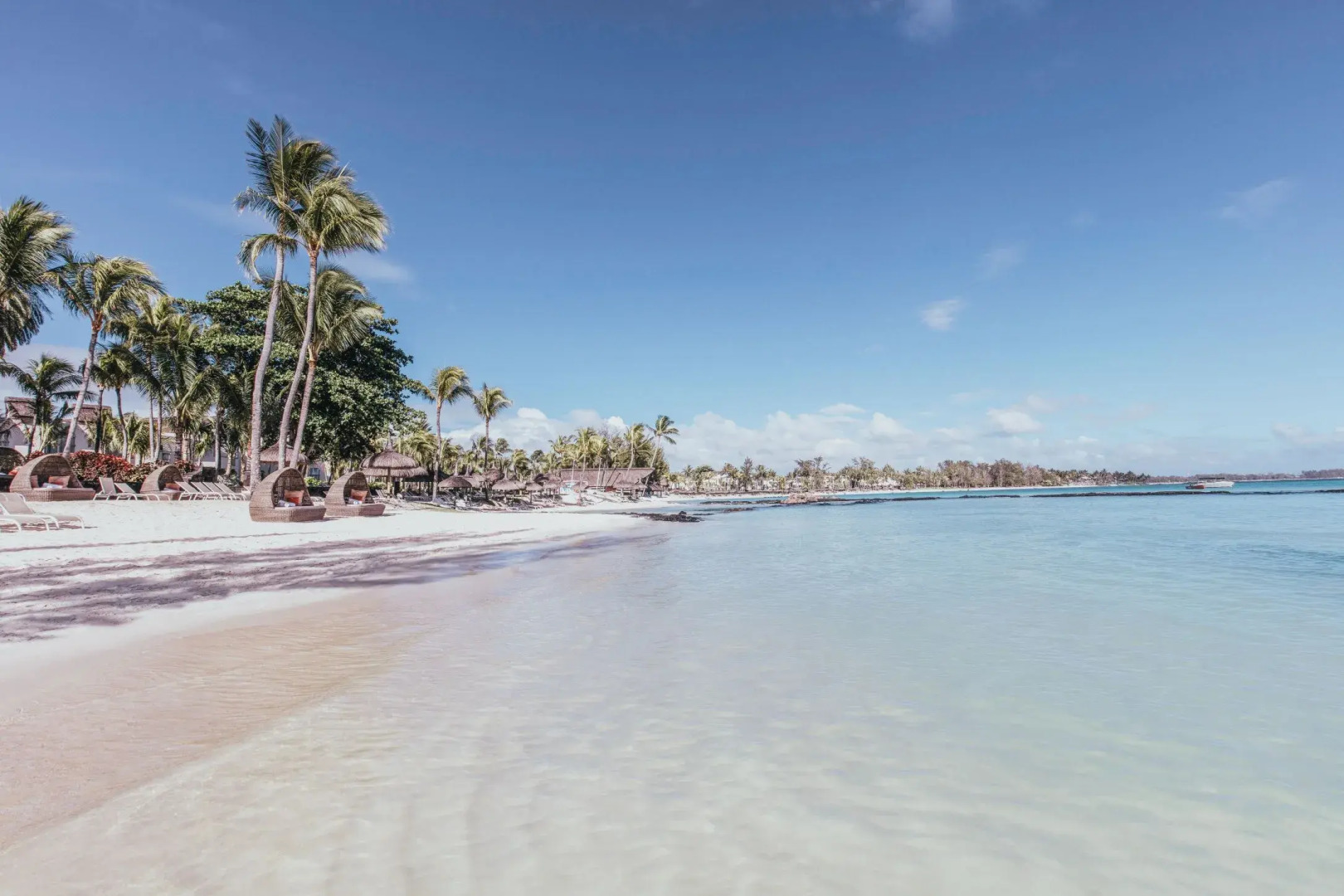 Foto - Ambre - Adults only