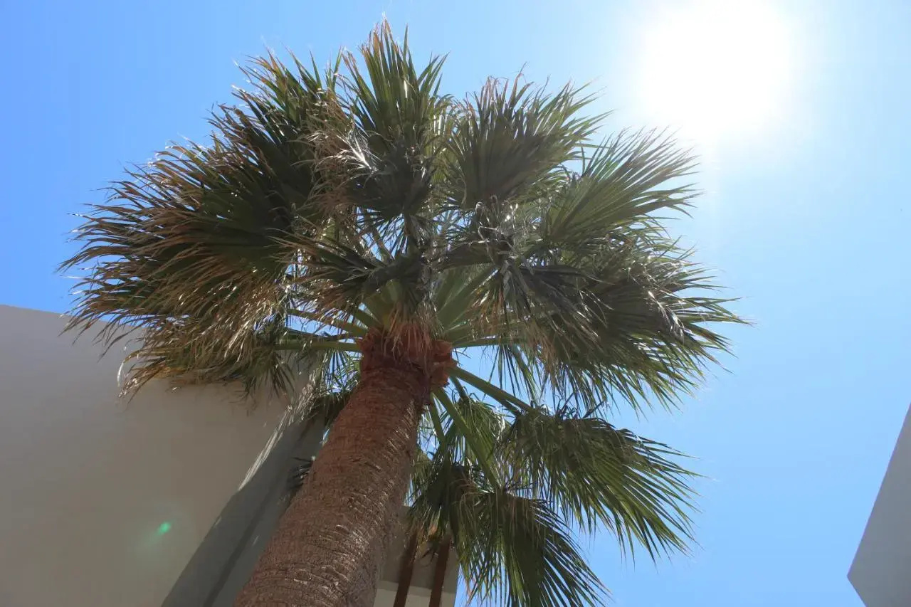 Photo - Galazio Beach Resort