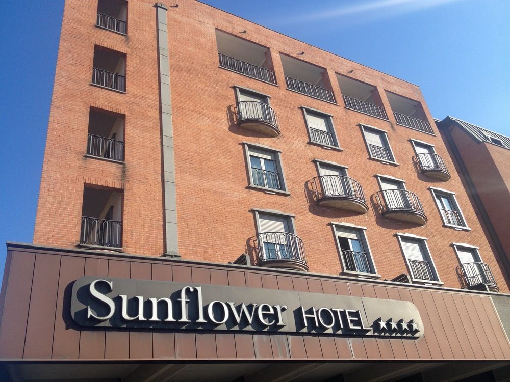 Foto - Hotel Sunflower