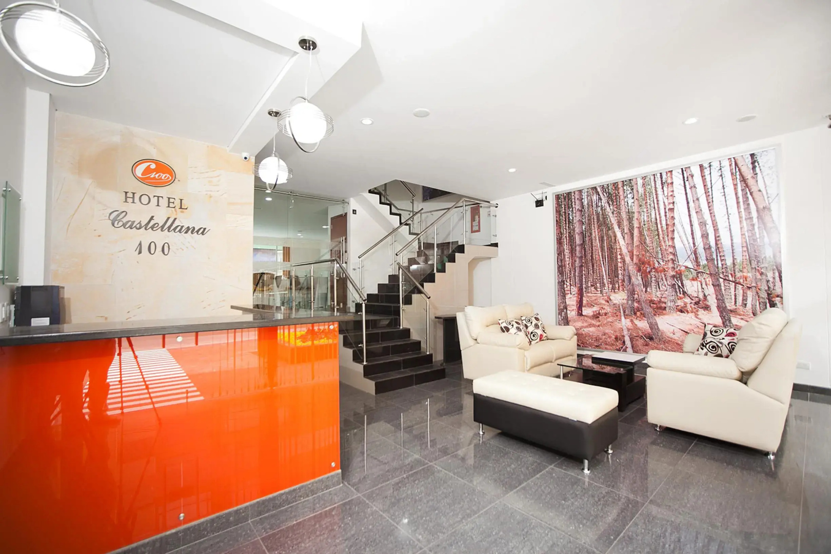 Photo - Hotel Castellana 100