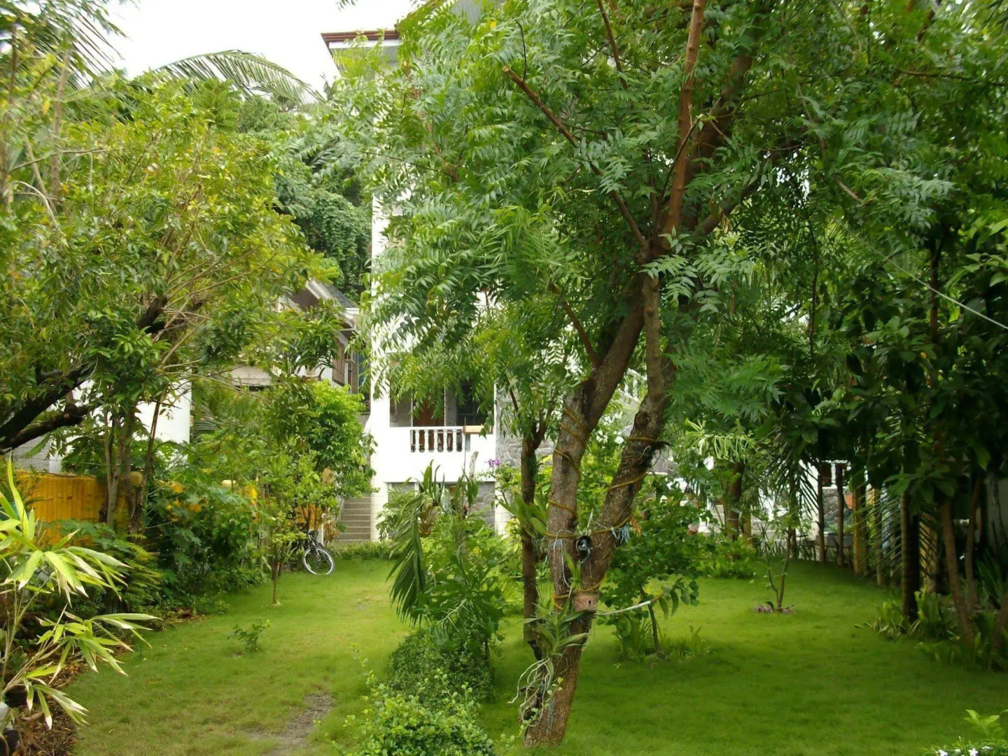 Foto - Greenyard Inn