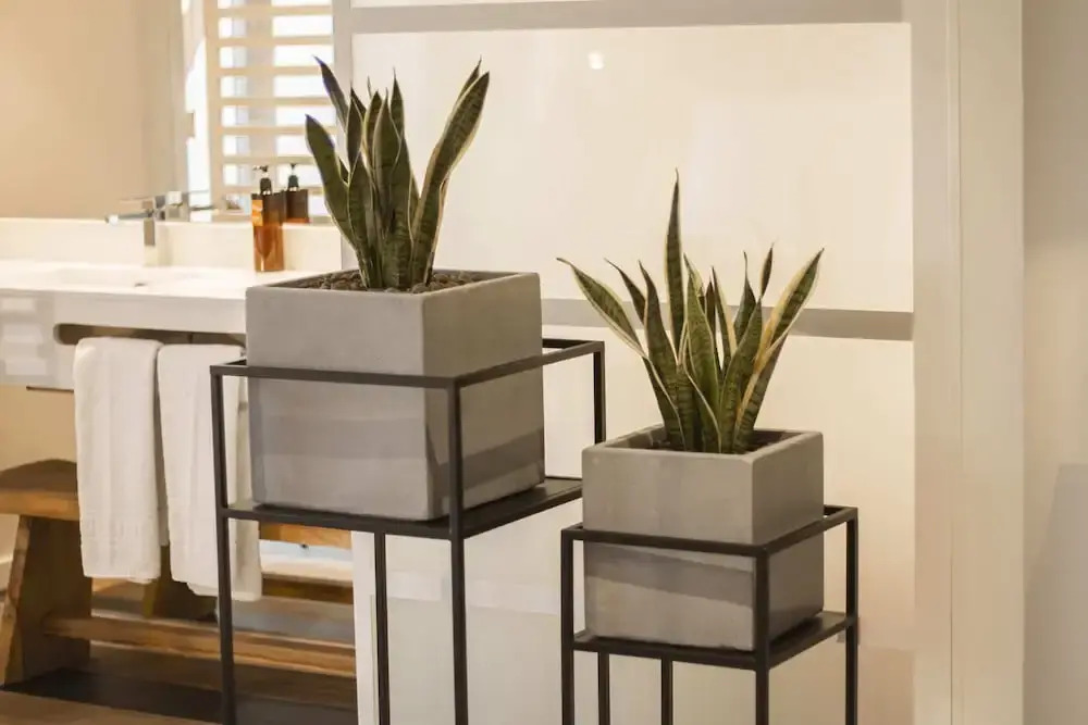 Photo - room Select Liberdade