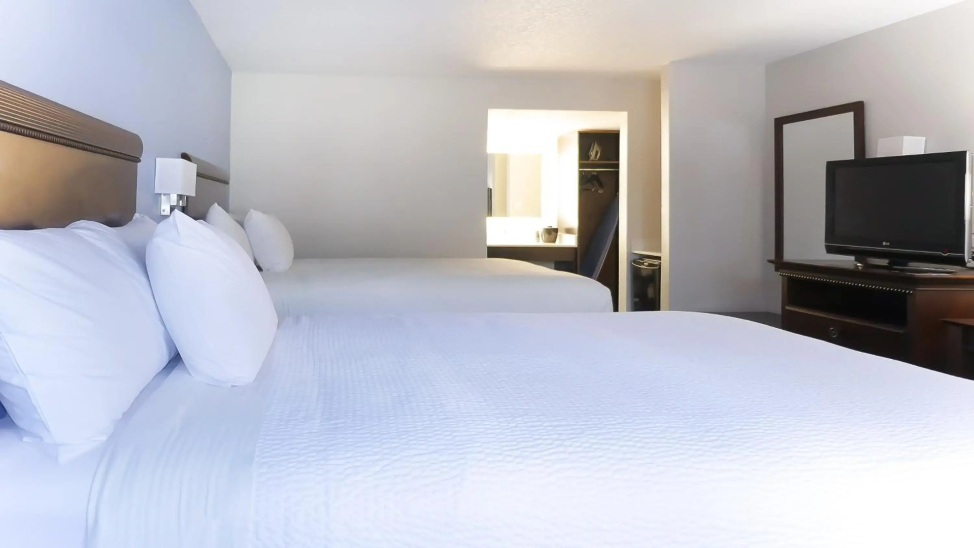 Foto - Hotel South Tampa & Suites
