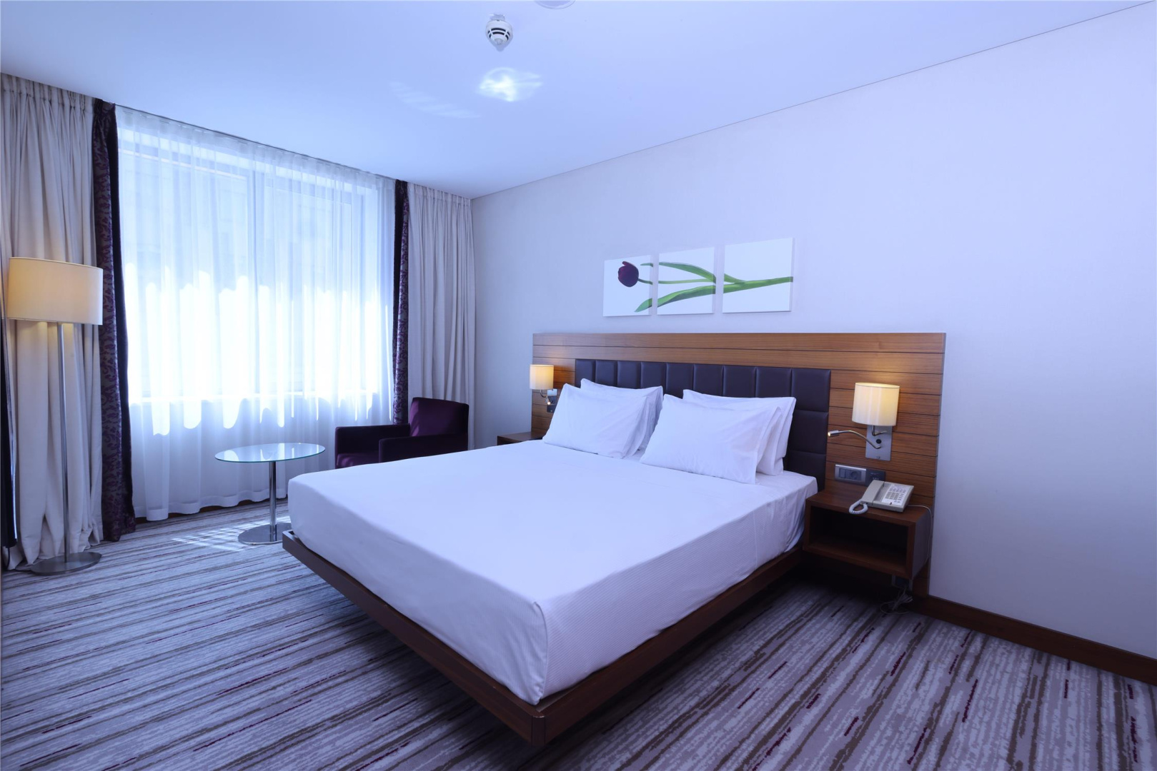 Photo - Hilton Garden Inn Konya, Turkey