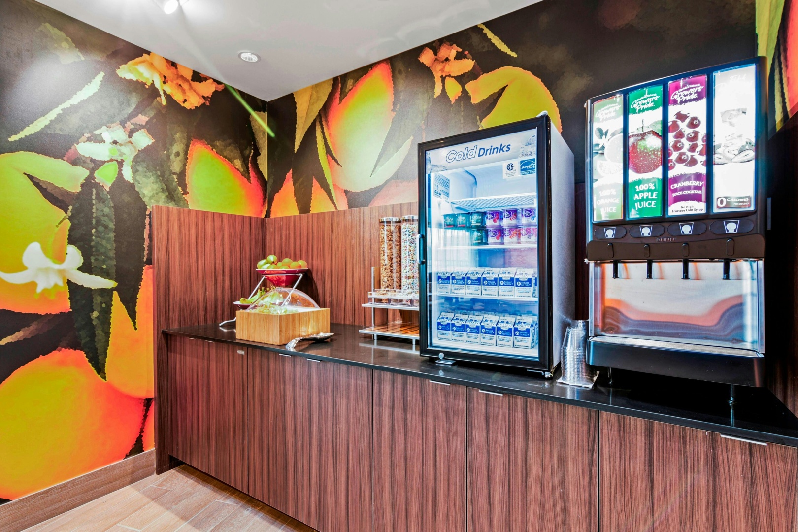 Foto - Fairfield Inn & Suites by Marriott St Petersburg North