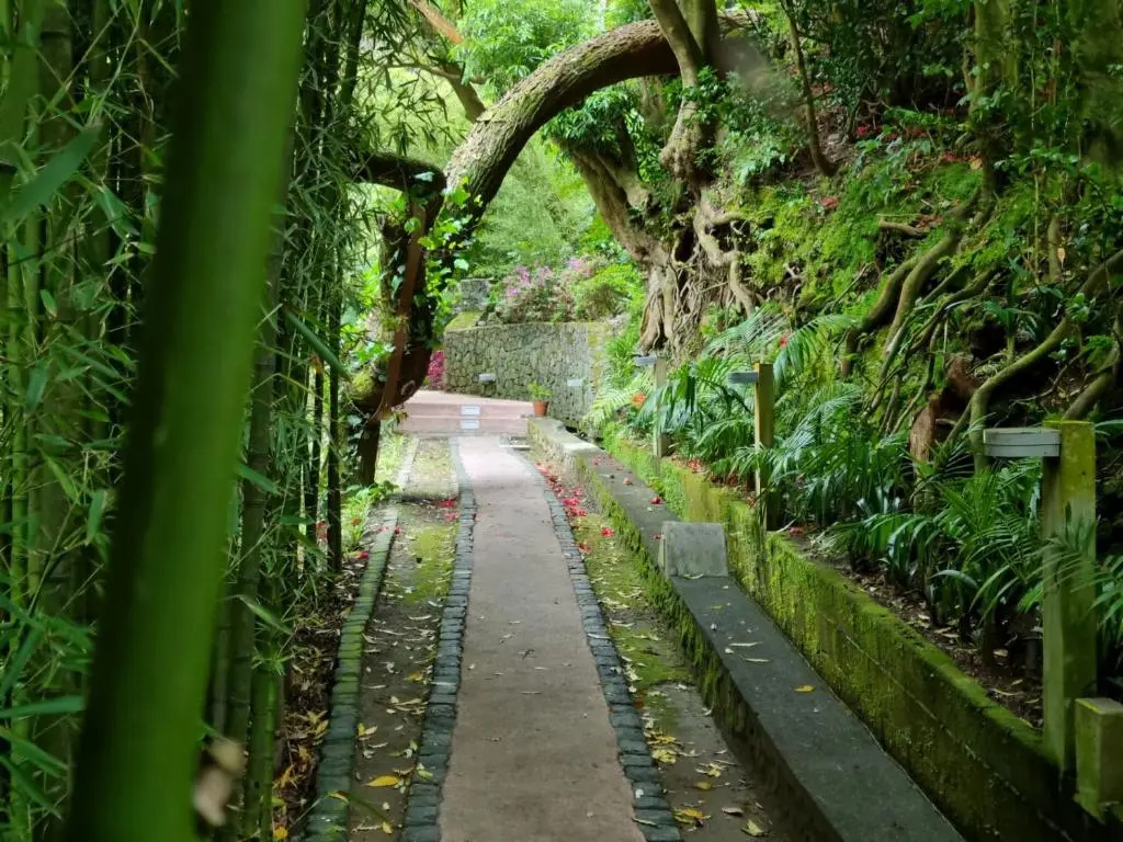 Foto - Quinta da Mó