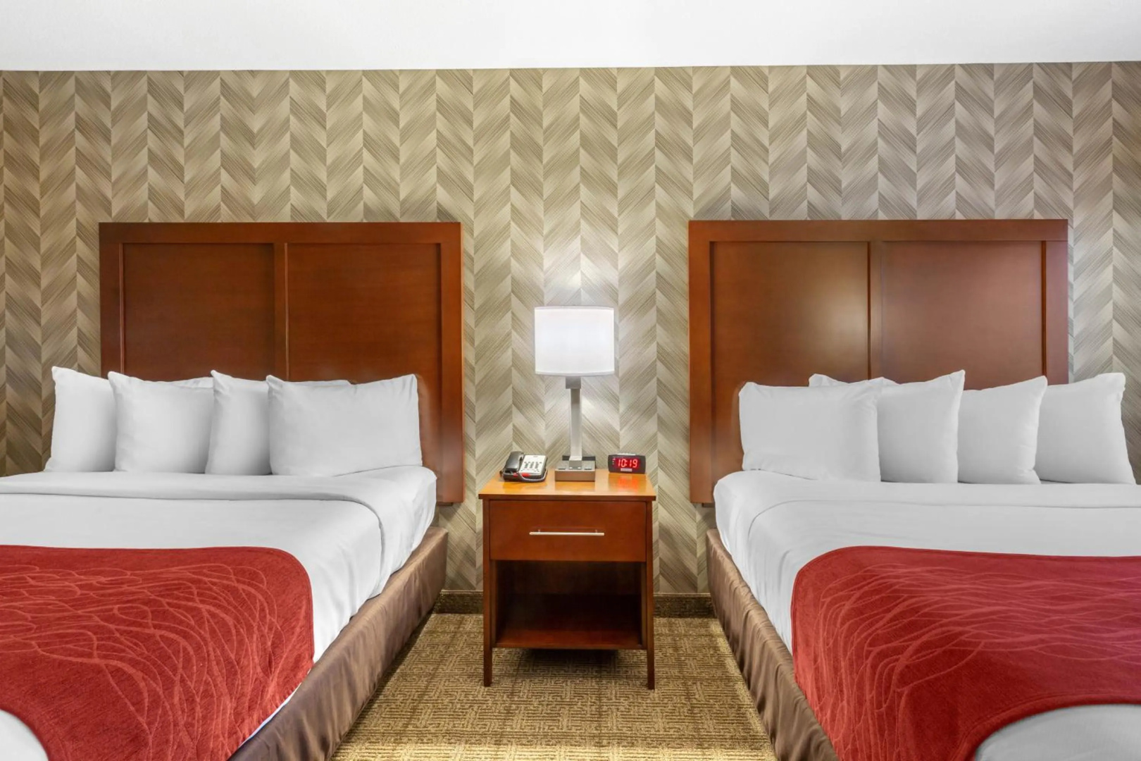 Foto - Comfort Inn & Suites Logan International Airport