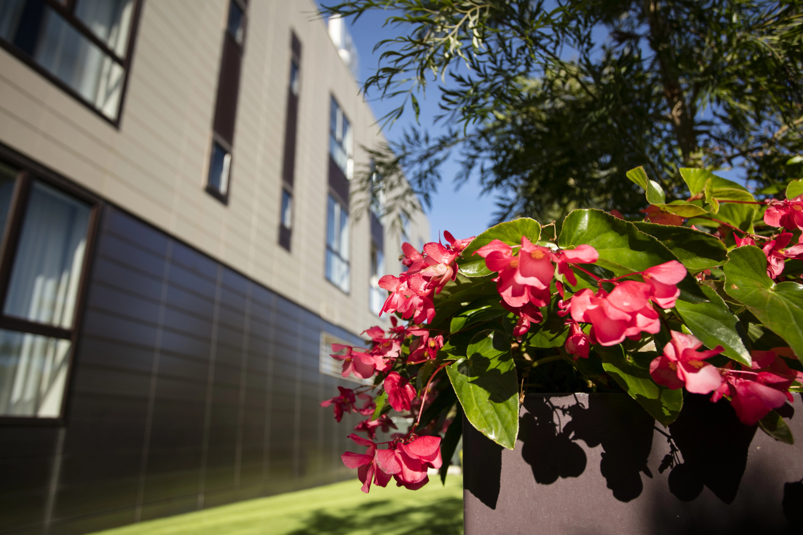 Foto - Hotel Desitges