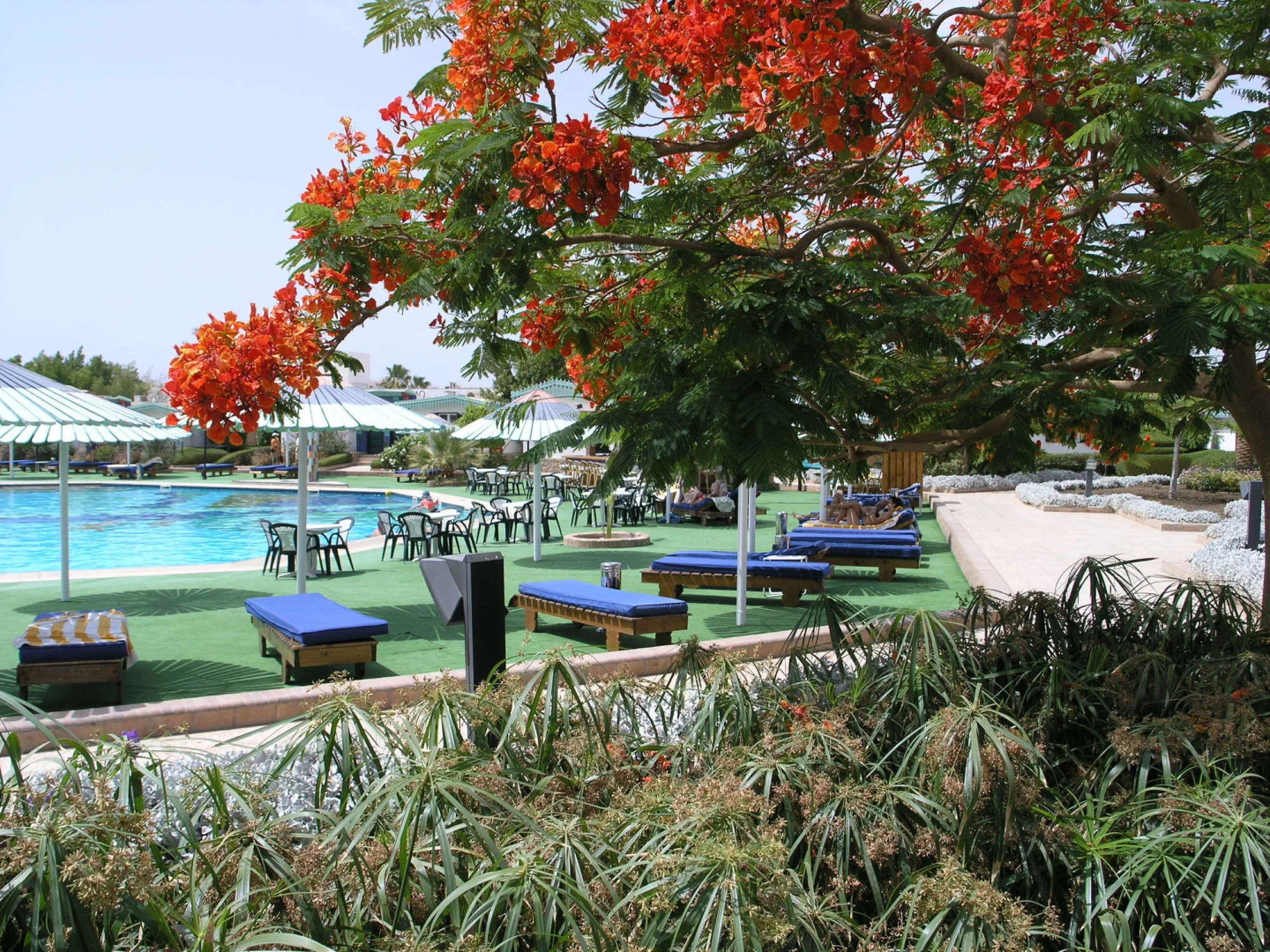 Foto - Ghazala Beach
