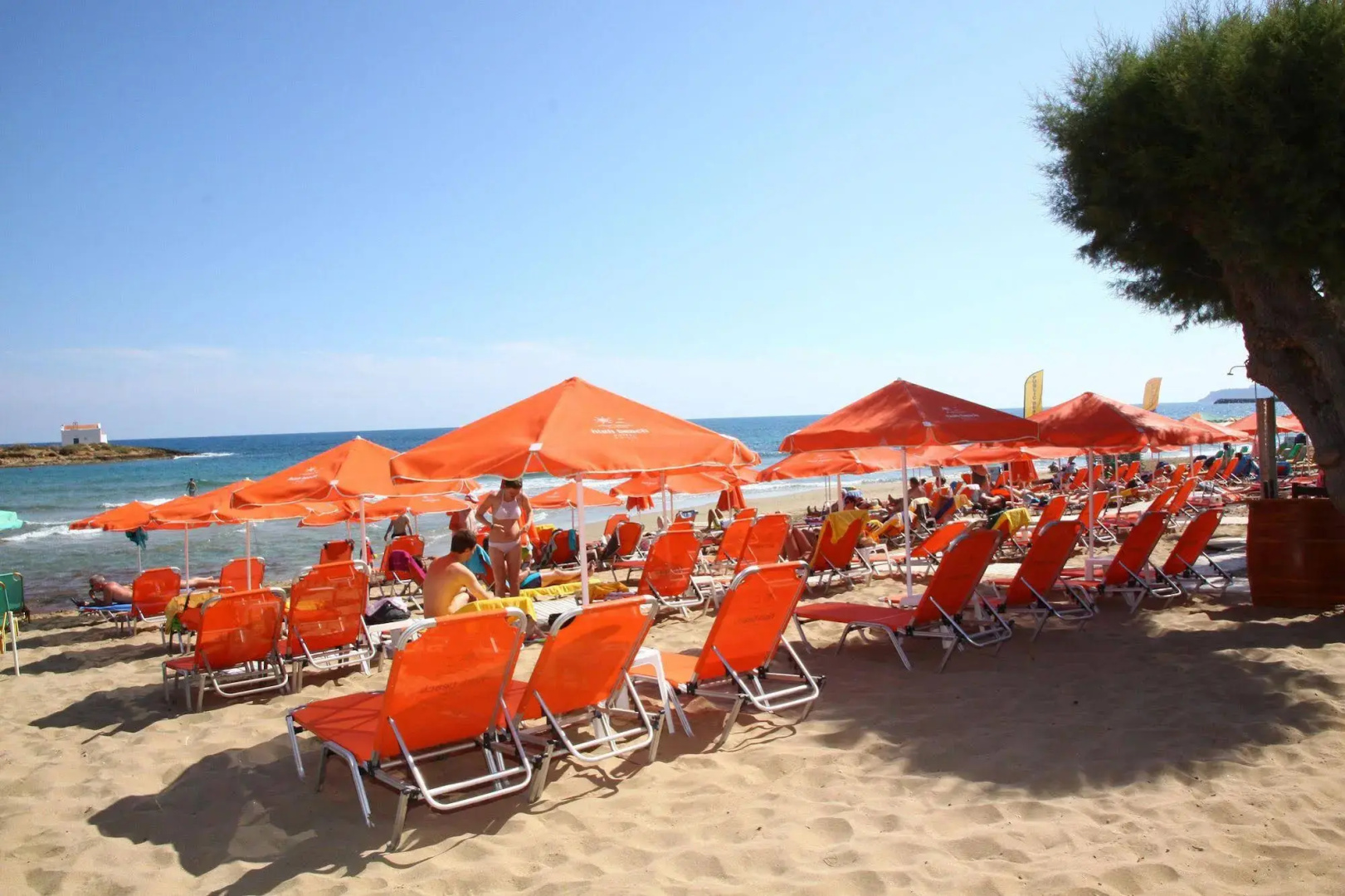 Foto - High Beach Resort
