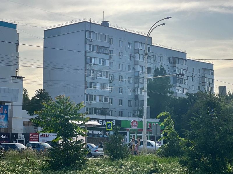 Рент Хаус на проспекте Курчатова, д. 21